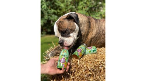 SmoothieDog-zoldseg
