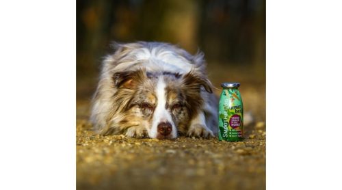 SmoothieDog - Zöldség smoothie-zoldseg-2022
