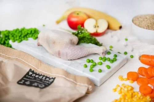 KIVO - Hidegen sajtolt Száraztáp - Pulyka és rizs 4kg
