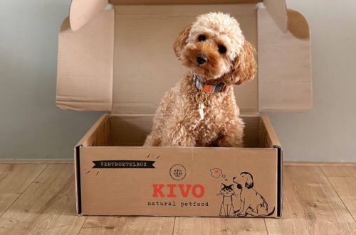 KIVO - Hidegen sajtolt Száraztáp - Pulyka és rizs 4kg