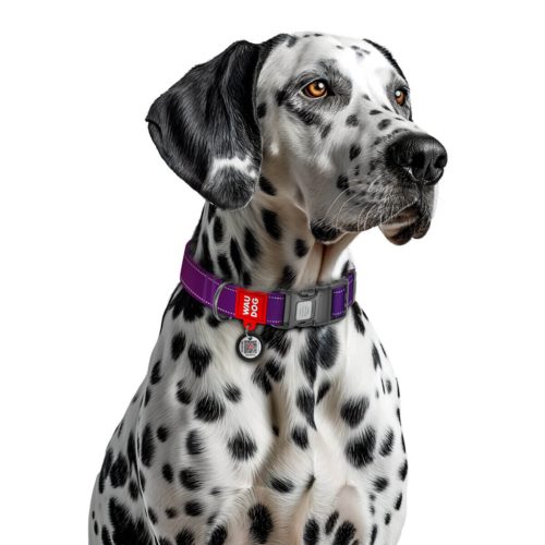 WAUDOG Mono Reflective kutya nyakörv – lila 4