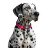WAUDOG Mono Reflective kutya nyakörv – pink 3