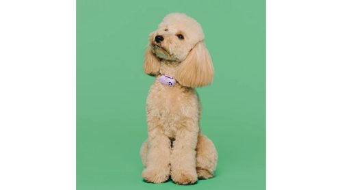 Tickless mini lila