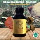 bio gyógygomba kutyáknak allergia