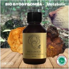 Bio Gyógygomba Metabolic
