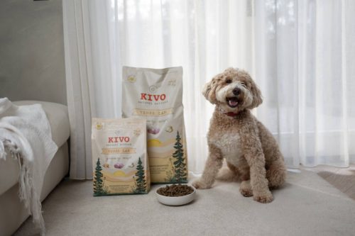 KIVO – Hidegen sajtolt Gabonamentes Száraztáp bárány 14kg
