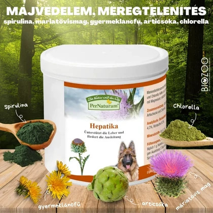 hepatika