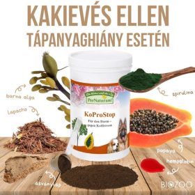 KoProStop