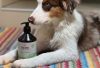 KIVO - Repair Power kutyasampon aloe verával és shea vajjal 500ml