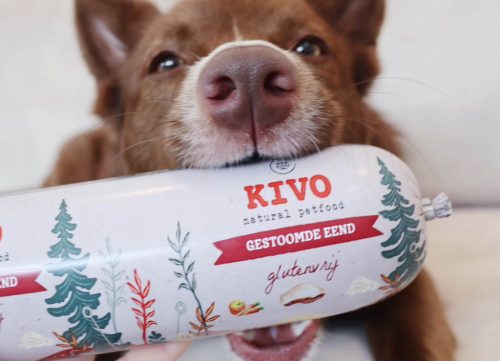 KIVO - Párolt Kacsahús zöldséggel és gyümölccsel