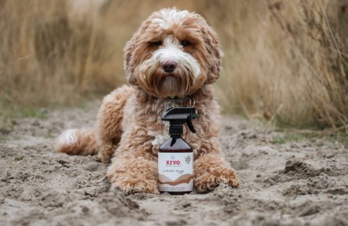 KIVO Protected Doggy kutyaparfüm bolhák és kullancsok ellen