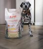 KIVO – Hidegen sajtolt Gabonamentes Száraztáp lazac 4kg