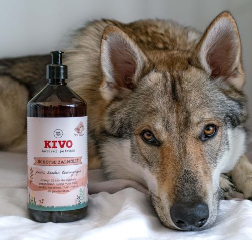 KIVO – Folyékony Skót Lazac olaj 500ml