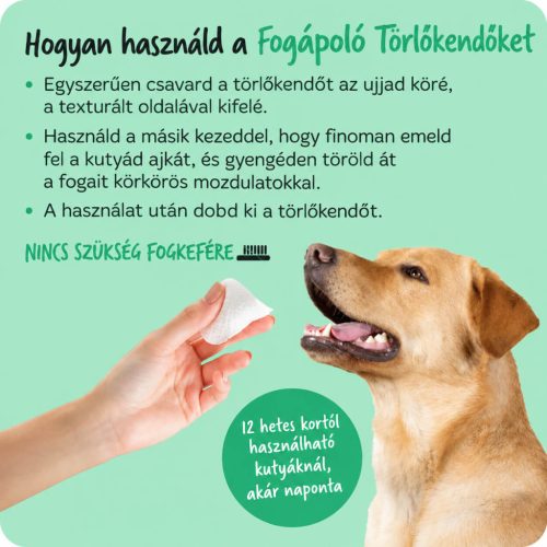 Bugalugs Dental Care Wipes – Fogápoló törlőkendő kutyáknak