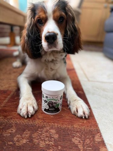 Bugalugs Dental Care Wipes – Fogápoló törlőkendő kutyáknak