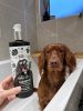 Bugalus Best in Breed sampon 250ml
