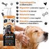 Bugalugs Stinky Dog Sampon - kellemetlen szagok ellen 250ml