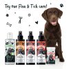 Bugalugs Flea&Tick sampon - bolha és kullancs ellen 500ml