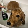 Bugalugs Aloe és kiwi nyugtató kutyasampon érzékeny bőrre 250ml