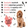 Bugalugs Luxury 2 in 1 Papaya & Kókusz sampon és kondícionáló 250ml