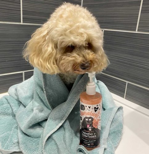 Bugalugs Luxury 2 in 1 Papaya & Kókusz sampon és kondícionáló 250ml