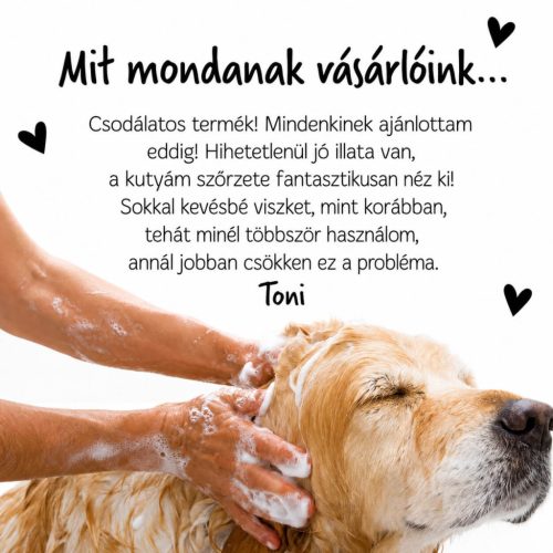 Bugalugs Medi Fresh sampon - viszketés ellen 500ml