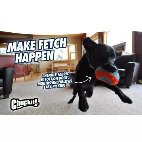 CHUCKIT BELTÉRI ROLLER