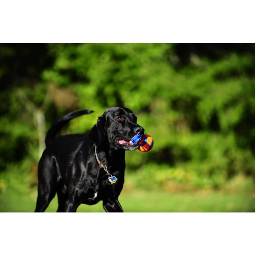 Chuckit Ultra Tug Madzagos Labda S