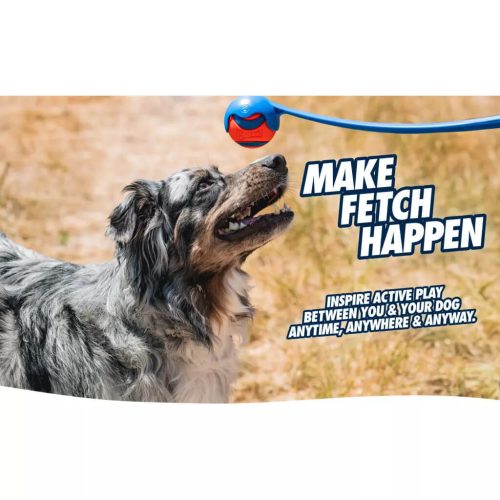 CHUCKIT PRO M HAJÍTÓ (45 CM)