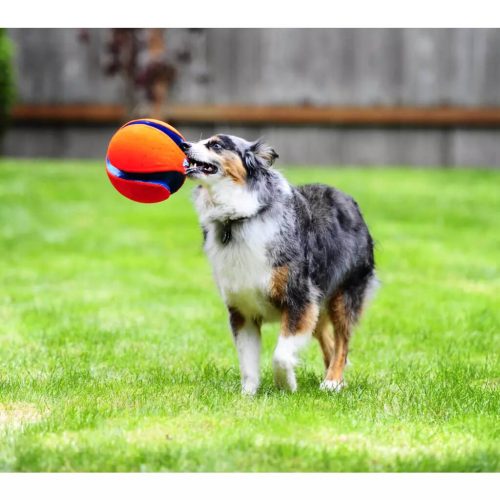 Chuckit Kick Fetch Labda L