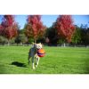 Chuckit Kick Fetch Labda L