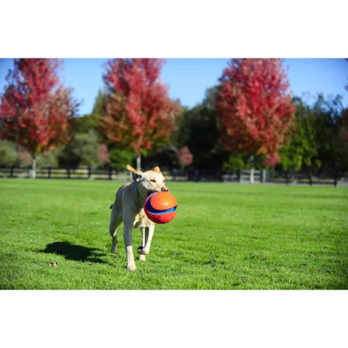 Chuckit Kick Fetch Labda L