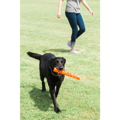 Chuckit Breath Right Stick