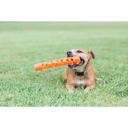 Chuckit Breath Right Stick