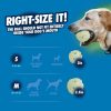 Chuckit Max Glow Air Fetch labda S szett 3