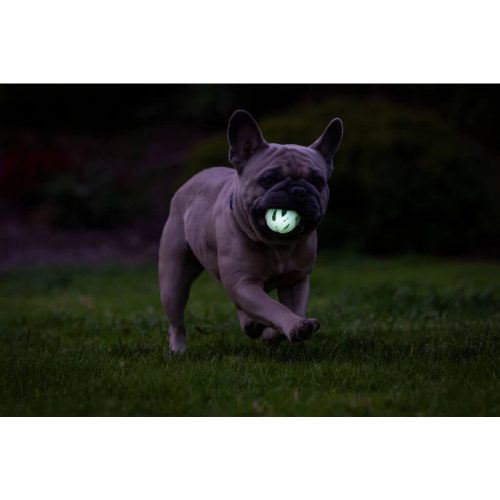 Chuckit Max Glow Air Fetch labda S szett 2
