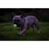 Chuckit Max Glow Air Fetch labda M 2