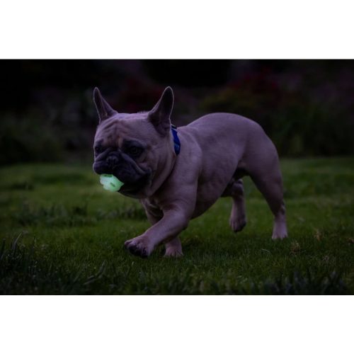 Chuckit Max Glow Air Fetch labda S szett 3