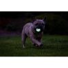 Chuckit Max Glow Air Fetch labda M 1