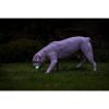 Chuckit Max Glow Air Fetch labda M 2