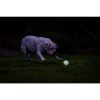 Chuckit Max Glow Air Fetch labda S szett 1