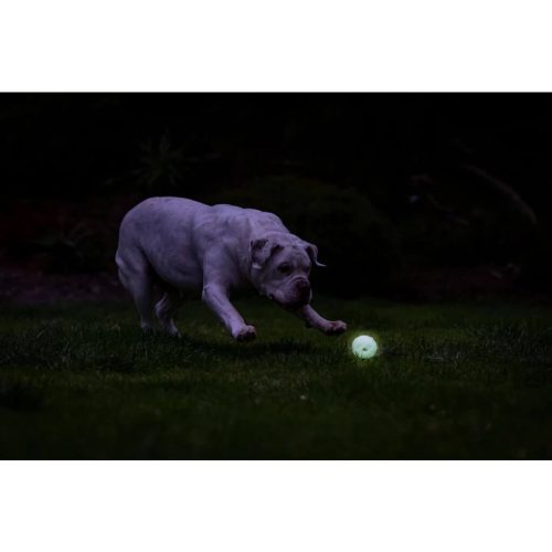 Chuckit Max Glow Air Fetch labda S szett 1
