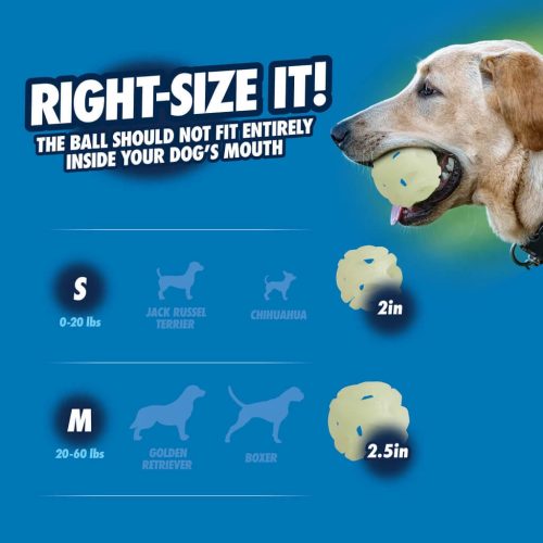 Chuckit Max Glow Air Fetch labda S szett 3