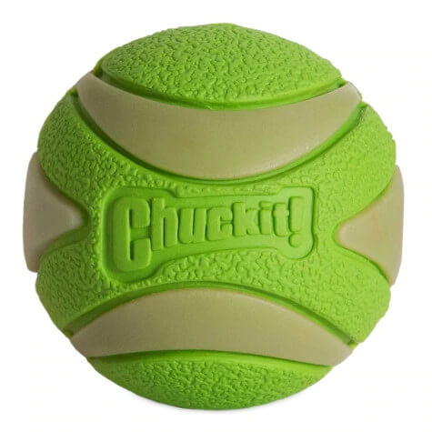 Chuckit Max Glow Ultra Squeaker Labda (M)