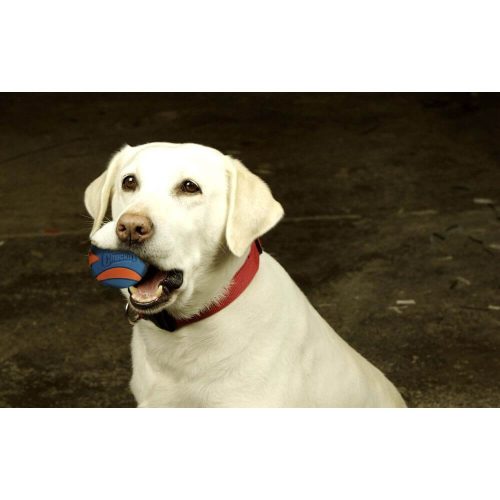 Chuckit Ultra Squeaker Sípolós Labda (Xl)