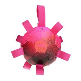Dog Comets Hypernova Orange Pink 2