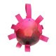 Dog Comets Hypernova Orange Pink 2