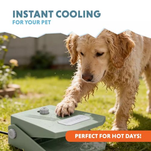 Coolpets Splash szökőkút olívazöld