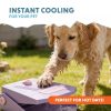 Coolpets Splash szökőkút lila