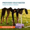 Coolpets Splash szökőkút lila
